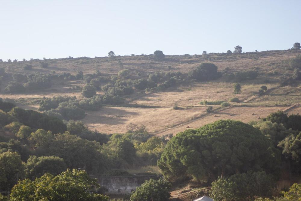Refugio Do Ze Tobias Villa Quinta do Anjo Kültér fotó
